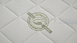 Greenfirst